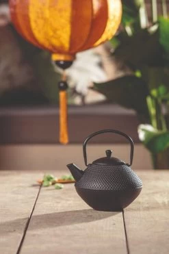 Bredemeijer Xinjang Theepot 1 Liter Gietijzer Zwart -Keuken Koopjes bredemeijer xinjang theepot 1 liter gietijzer zwart 3