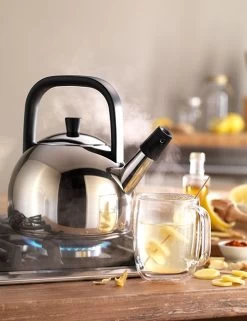 Zwilling Plus Fluitketel Rond 1,6 Liter Rvs -Keuken Koopjes zwilling plus fluitketel rond 1 5 liter rvs